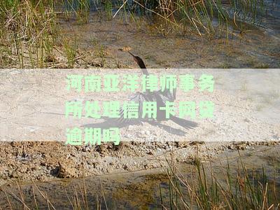河南亚洋律师事务所处理信用卡网贷逾期吗-河南亚洋律师事务所处理信用卡网贷逾期吗