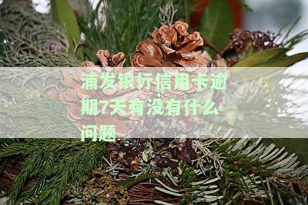 浦发银行信用卡逾期7天有没有什么问题啊，关于浦发银行信用卡逾期7天的问题，你需要注意这些事！