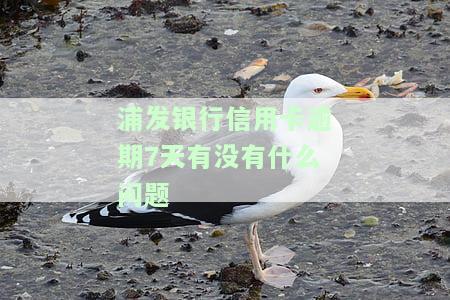 浦发银行逾期七天，警惕！浦发银行信用卡逾期7天可能带来的影响