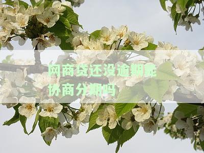 网商贷未逾期能否协商分期？解决办法是什么？