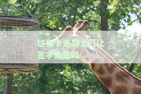 信用卡逾期上门：催收是否合法？如何应对？上门需本人同意吗？与村委会的关系？