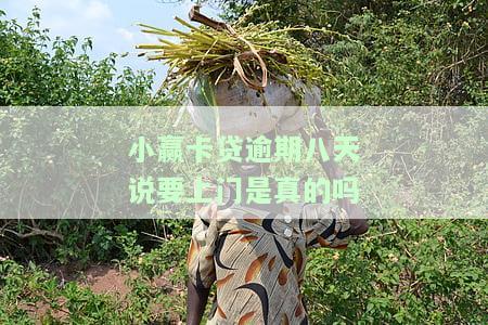 小赢卡贷逾期八天说要上门：真的吗？安全吗？可信吗？会上门催收吗？