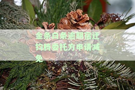 金条白条逾期宿迁钧腾委托方申请减免-金条白条催收客服简单易学