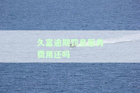 久富借贷服务平台是否违法？如何举报？请提供相关信息。
