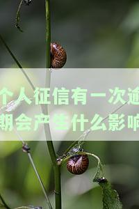 个人征信有一次逾期记录会影响贷款吗？后果是什么？