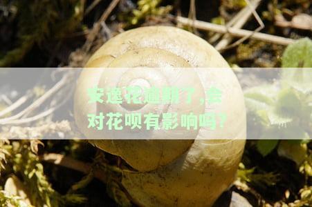 安逸花逾期了,会对花呗有影响吗?-安逸花逾期了,会对花呗有影响吗