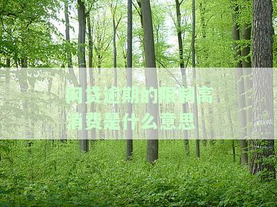 网贷逾期的限制高消费是什么意思呢，详解网贷逾期的限制高消费含义