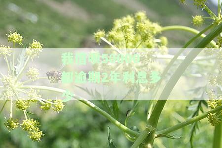 借呗逾期50000一年罚息多少，了解借呗逾期罚息：50000元逾期一年需要支付多少利息？