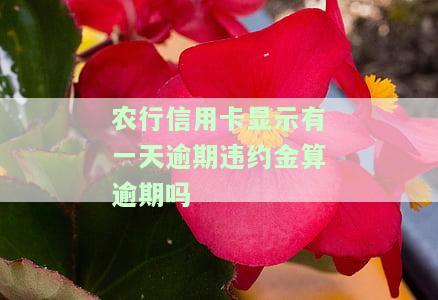 农行信用卡显示逾期一天，违约金算逾期吗？怎么办？