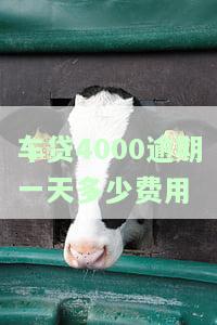 车贷4000逾期一天多少费用合适，探讨车贷逾期一天的合理费用标准