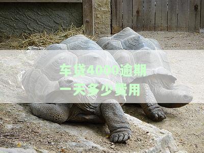 4000车贷逾期罚息多少？全网最全计算方法及建议！