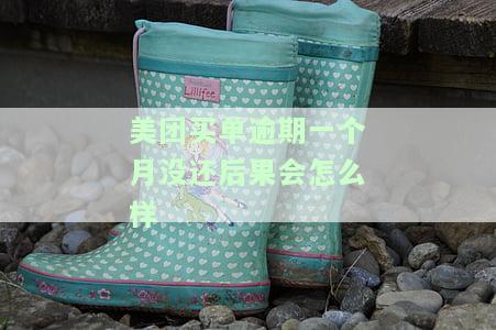 美团逾期1个月会怎么样，逾期一个月，美团将采取哪些措？