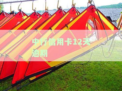 中行信用卡12天逾期会受到何种处罚？逾期一天是否有影响？