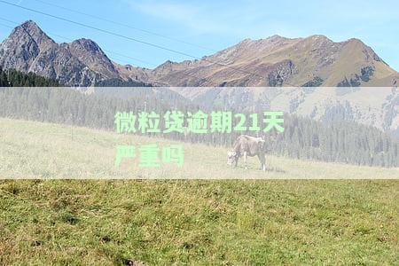 微粒贷逾期二十五天会不会影响征信，微粒贷逾期二十五天是否会影响您的征信记录？