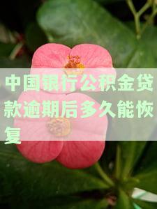 中国银行公积金贷款逾期一天是否会上征信？影响及解决办法