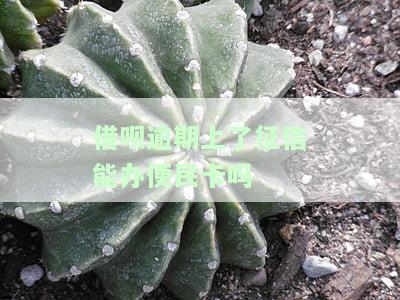 借呗逾期上征信可以买高铁票吗？会对其他交通工具购票产生影响吗？