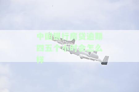 中国银行房贷逾期一天忘还了会影响信用吗？及时还款是关键