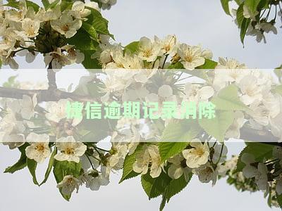捷信逾期记录消除-捷信逾期记录消除了可以恢复吗