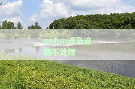 gofun违章我就是不交钱，任性车主？'gofun违章我就是不交钱'引争议