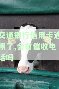 交通银行信用卡逾期怎么办？可否协商还本金及可能的后果