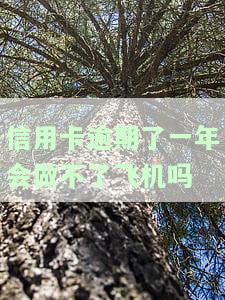 我信用卡逾期一年多了黑户了吗，信用卡逾期一年多，是否已经变成黑户？