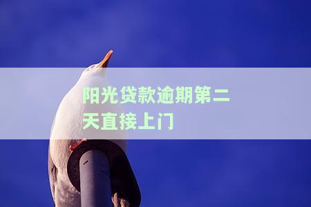 阳光贷款逾期12天法院起诉，逾期12天被法院起诉！阳光贷款提醒您注意还款日期