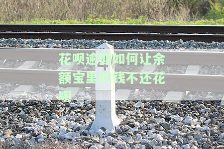 花呗逾期如何让余额宝里的钱不还花呗