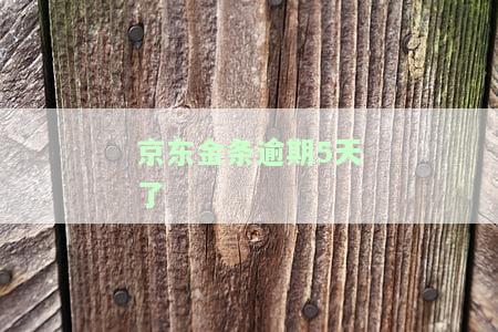 京东金条逾期5天了