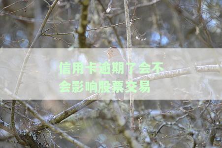 信用卡逾期了会不会影响股票交易额度，信用卡逾期会影响股票交易额度吗？