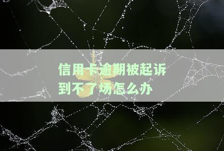 欠信用卡不还被起诉：可能面临法律后果，包括坐牢、资产冻结等。如无法找到被告，法院将采取公告送达的方式；无钱偿还可申请分期还款或与银行协商解决方案。