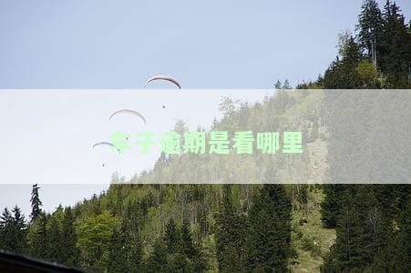 车子逾期是看哪里的征信？逾期多久会影响征信记录？