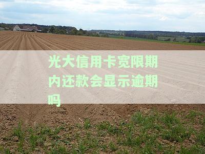 光大银行还款宽限期要申请吗？期限及申请方式解析