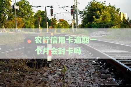 农业银行信用卡逾期一天有无影响？了解最新规定与应对措