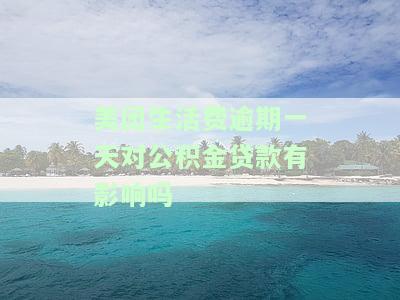 美团生活费逾期3天还能借吗，美团生活费逾期3天，是否影响再次借款？