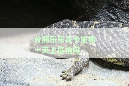 分期乐乐花卡逾期需要几天才能借出来，分期乐乐花卡逾期多久能再次借款？