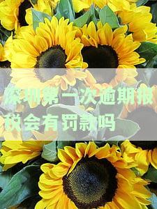 深圳企业报税逾期首次免罚政策：了解详情与操作方法