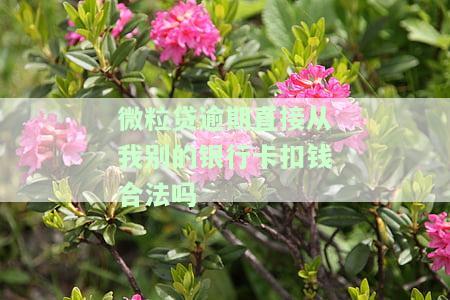 欠微粒贷钱逾期后会从我另一个微信银行卡扣款吗？微粒贷逾期是否会扣我的其他银行卡或微信零钱？