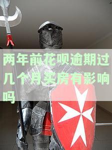 两年前花呗逾期过几个月买房有影响吗？如何解决及后续影响？