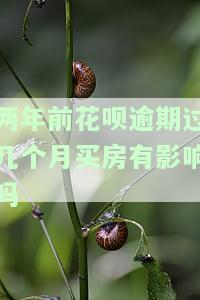 两年前花呗逾期过几个月买房有影响吗