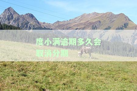 度小满逾期多久会被起诉？金额、上门、冻结卡等后果全解析