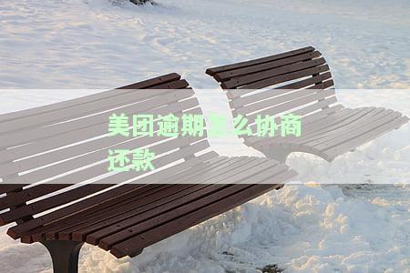 美团逾期怎么协商还款最快？方案、找谁、还本金全知道！