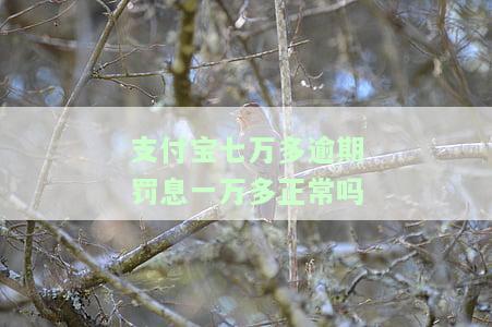 欠支付宝七万逾期一年：影响、解决办法与后果分析