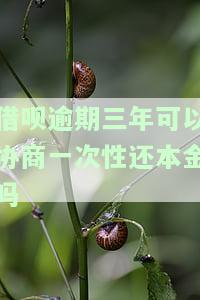 借呗逾期三年可以协商一次性还本金吗多少钱，如何协商解决借呗逾期三年的债务问题？