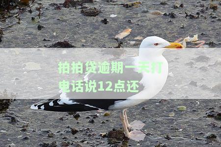 拍拍贷逾期一天打电话说12点还-拍拍贷逾期第二天打电话让下午两点还
