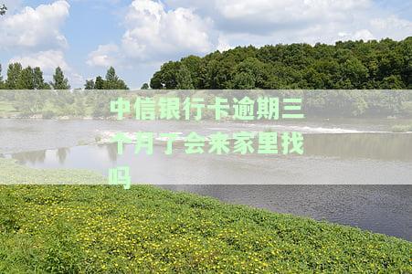 中信银行逾期3个月：能否办理分期还款？会否派人上门？如何申请催收电话？累计还是累计还款？需还1万是否会上门催收？能否申请个性还款？