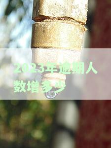 2021年逾期的人到底有多少，揭示真相：2021年逾期人数统计报告