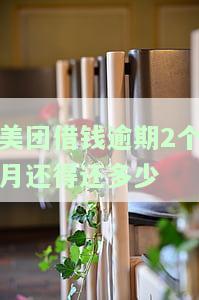 美团借钱逾期2个月还得还多少