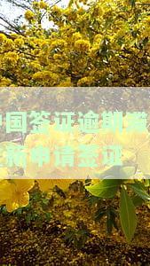 中国签证逾期滞留重新申请签证