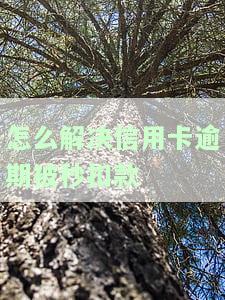 怎么解决信用卡逾期被秒扣款？怎么要回欠款并减免滞纳金？