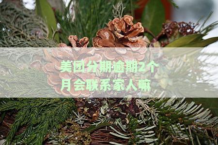美团分期逾期2个月会联系家人嘛-美团分期逾期2个月会联系家人嘛